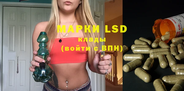 мяу мяу мука Инсар