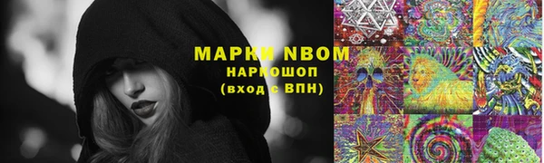 мяу мяу мука Инсар
