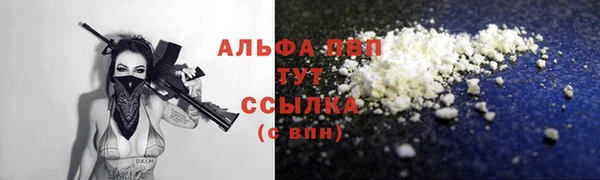мяу мяу мука Инсар