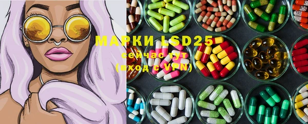 мяу мяу мука Инсар