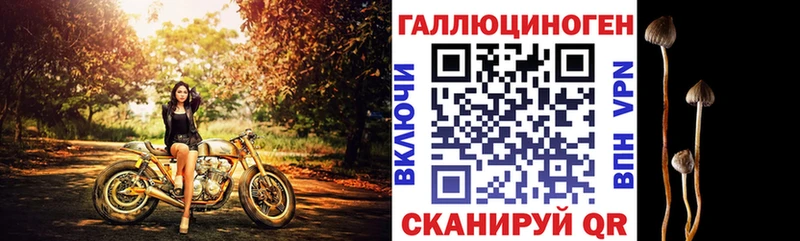 Псилоцибиновые грибы Psilocybe  как найти   ОМГ ОМГ ONION  Первоуральск 